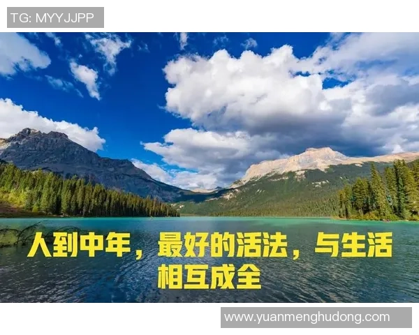 在顾全大局中寻求平衡与和谐的智慧与实践