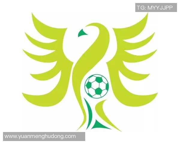 成都足球队耐力变革引发热议助力球队崛起与发展新篇章MBA