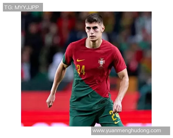 鲁本迪亚斯:从新星崛起到世界顶级后卫的传奇之路