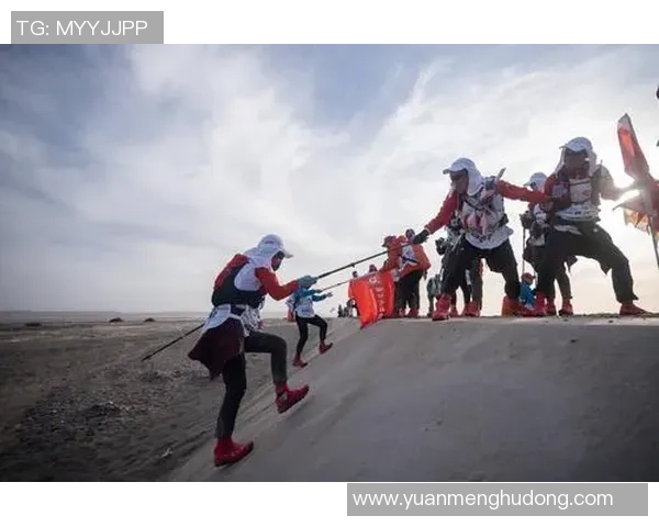 北京排球队边路渗透战术解析与深度剖析排球技术的魅力与挑战MBA