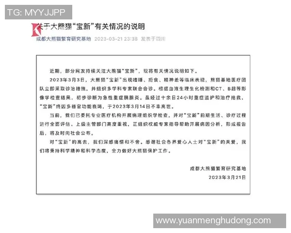 权威发布：2023年英雄联盟技术实力榜单全面解析与解读